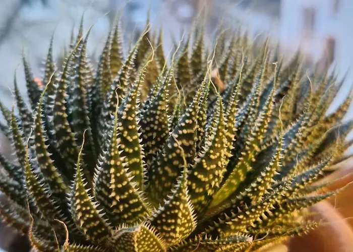 Sweet 3-room In A Location * トリーア