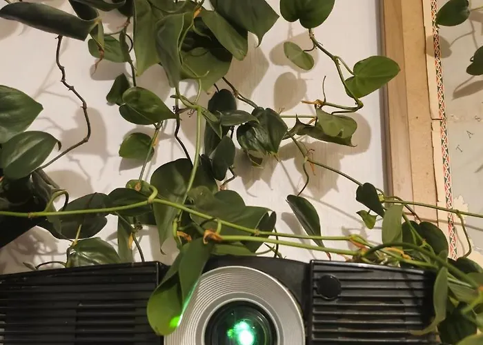 アパート Sweet 3-room In A Location *