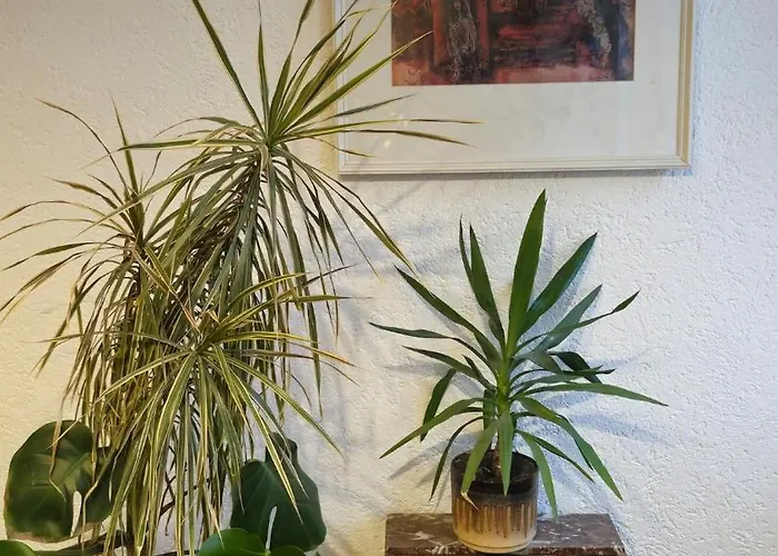 Sweet 3-room In A Location トリーア