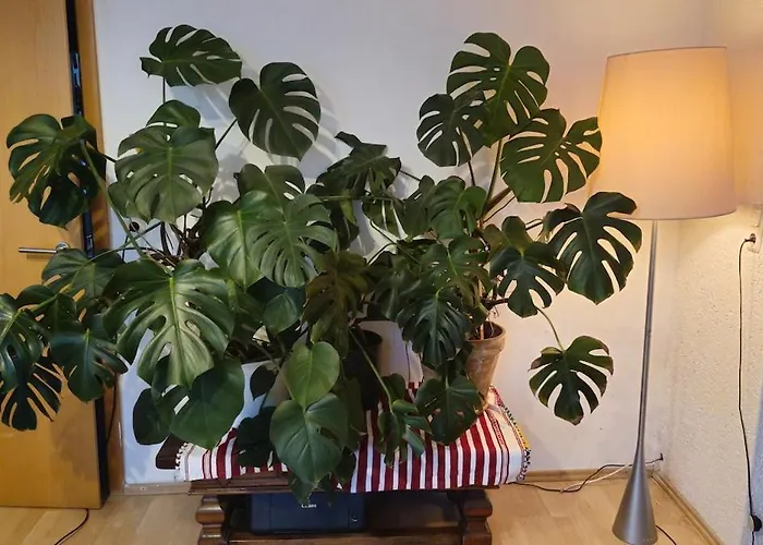 Sweet 3-room In A Location アパート